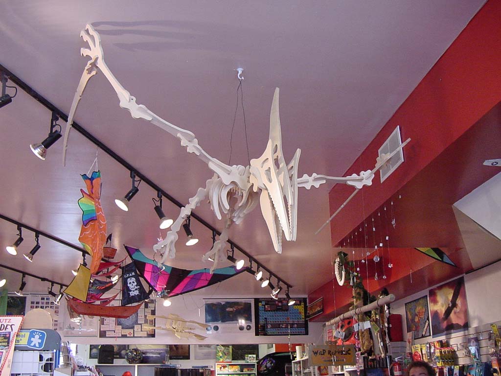 DSC00001